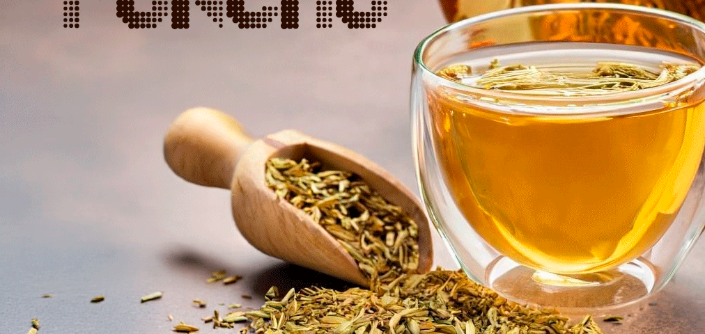 Erva medicial Funcho